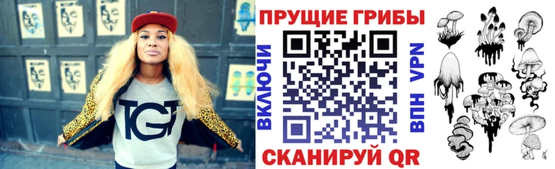 наркота  Междуреченск  Галлюциногенные грибы Psilocybine cubensis 