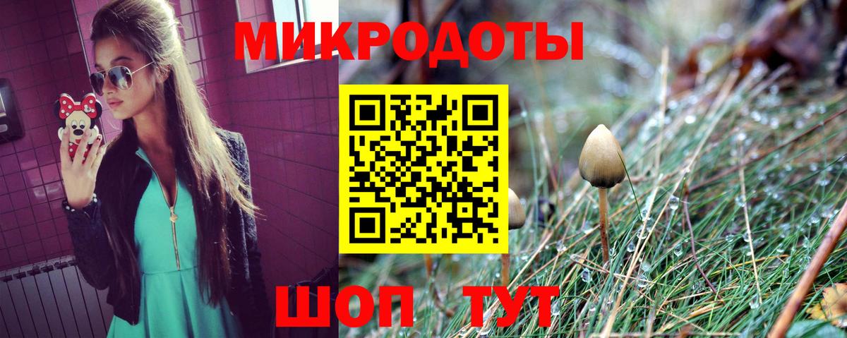 Псилоцибиновые грибы Cubensis  Междуреченск 