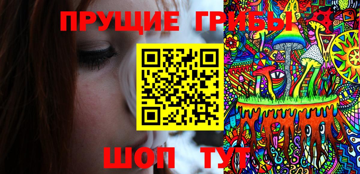 Галлюциногенные грибы Psilocybine cubensis Междуреченск