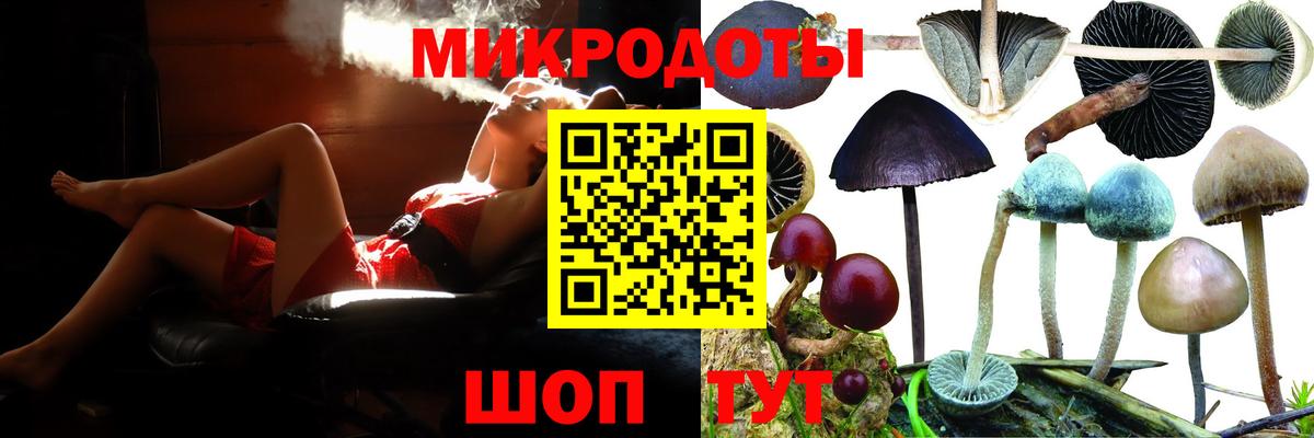 Галлюциногенные грибы GOLDEN TEACHER Междуреченск