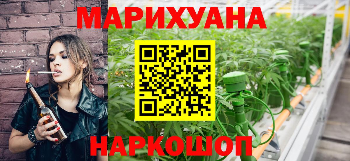 Бошки Шишки планчик  Канабис план  Междуреченск  Канабис White Widow  Вход с VPN 